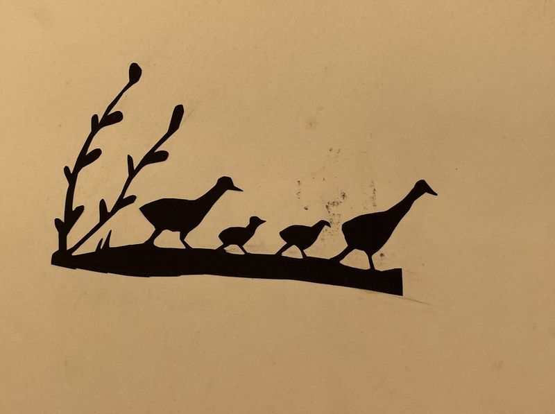 Datei:Enten LFG.jpg